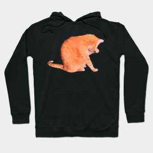 Orange Cat Washing Cute Watercolor Style Hoodie